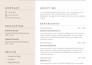write a professional resume, CV, and linkedin profile